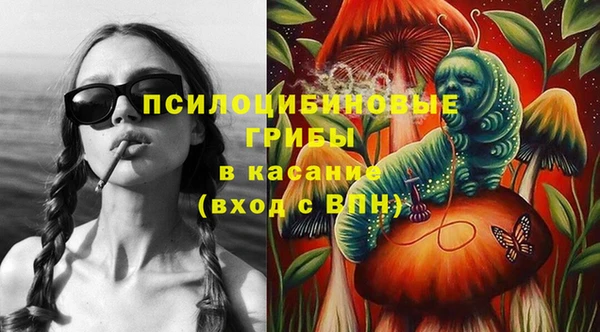 марки nbome Дмитриев