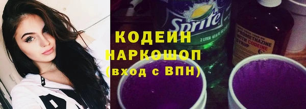 скорость Ельня