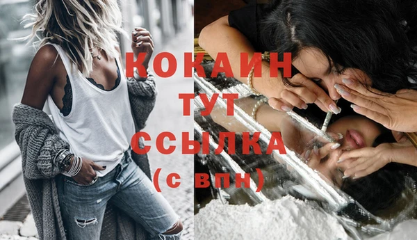 крисы Елабуга