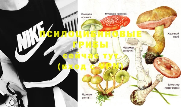 скорость Ельня