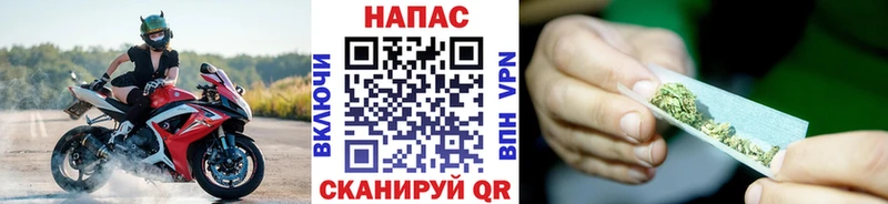 Конопля White Widow Межгорье